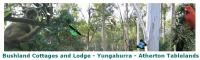 Bushland Cottages and Lodge Yungaburra