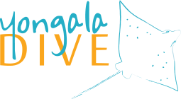 Yongala Dive