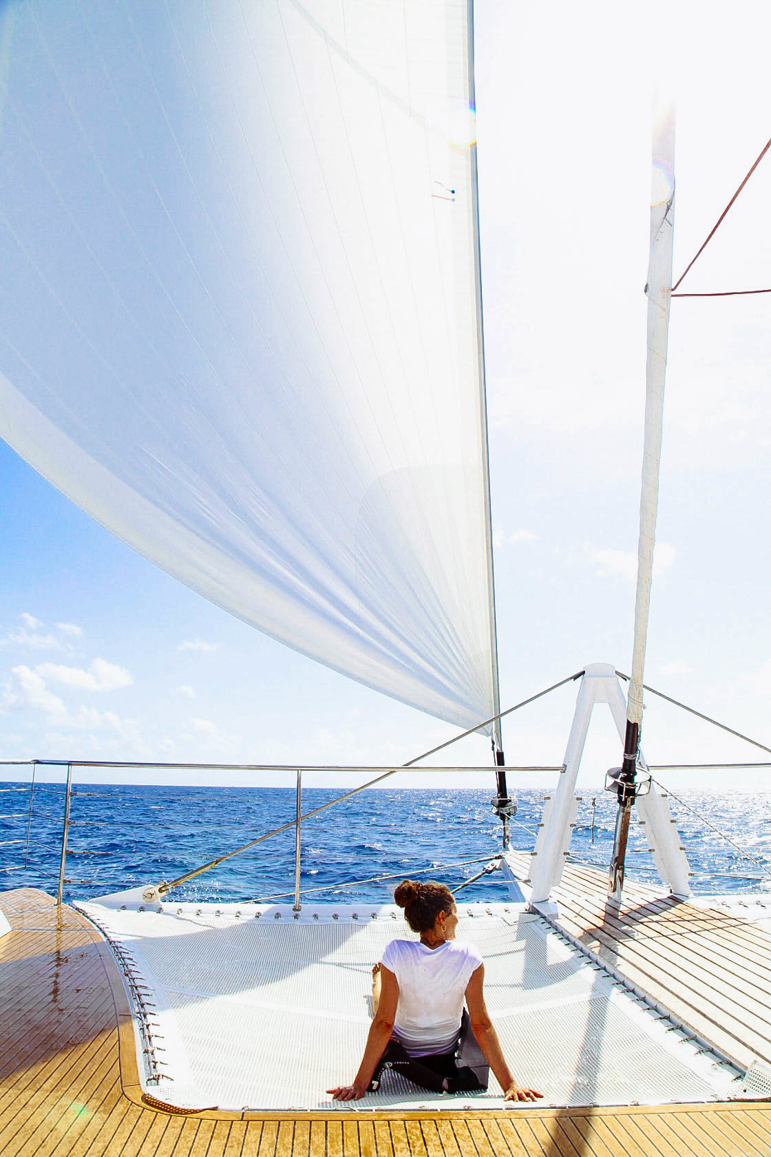 Passions of Paradise Cairns Tourism Town The Tourism Marketplace Find