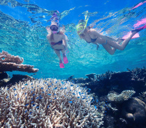 Cairns best snorkelling tour on the outer Great Barrier Reef