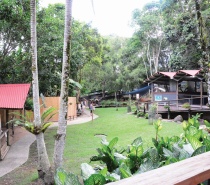 Kuranda Koala Gardens