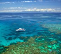 Poseidon on Agincourt Reef