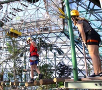 Cairns High Rope Course at the Casino