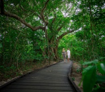 Green Island Self-Guided Eco Walk