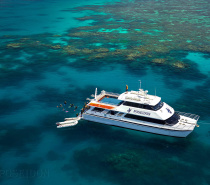 Snorkel, Dive & Cruise the Great Barrier Reef