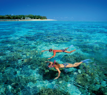 Snorkelling around Green Island