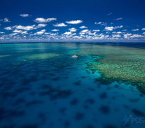 Poseidon visits 3 different and unique reef environments in one day