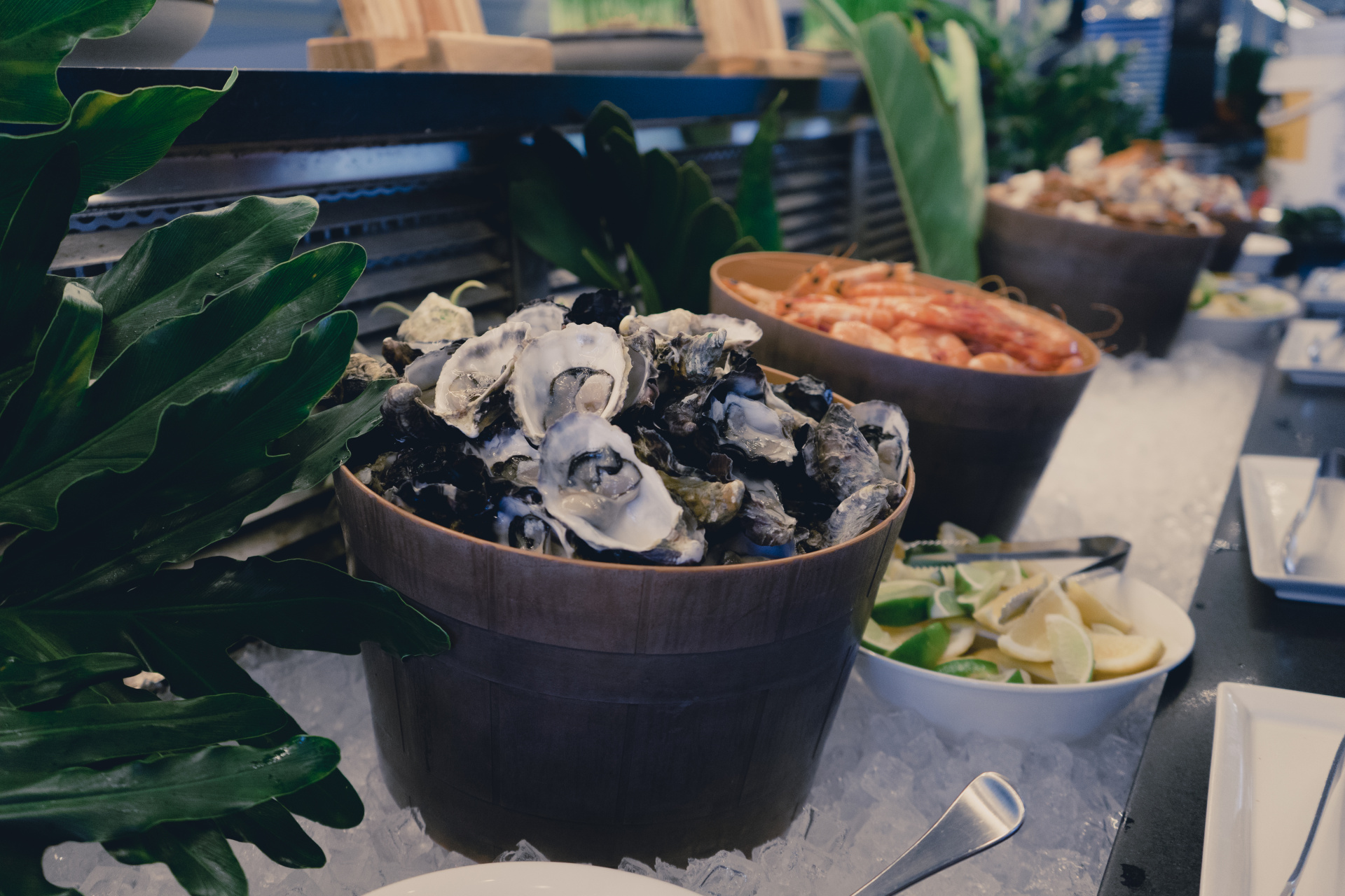 Cairns Events Event Details MARKET FRESH SEAFOOD FEAST