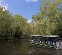 Hartleys Creek Crocodile Cruise