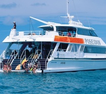 Poseidon caters to Snorkellers, Introductory & Certified Scuba Divers