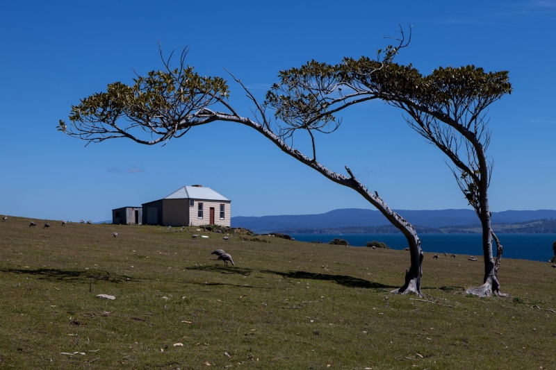 maria island day tours from hobart