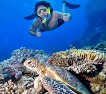 Jump in and explore the underwater world at two distinctive reef locations.