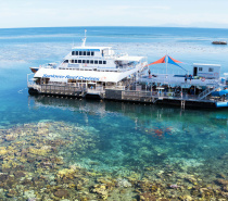 Moore Reef Pontoon