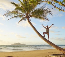 Man standing on a Palm Tree on the coast of Mission Beach Australia