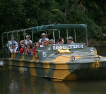 Army Duck Rainforest Tour with Tropical Fruit Orchard. 