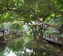 Wildlife Habitat Port Douglas