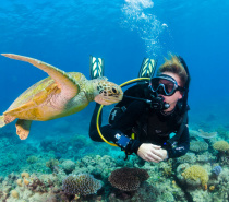 The Great Barrier Reef is an iconic destination and is a diver’s dream.