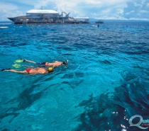 Snorkeling on the Great Barrier Reef