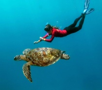 Snorkelling equipment (mask, snorkel & fins) and instruction provided.