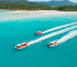 whitehaven beach tours airlie beach