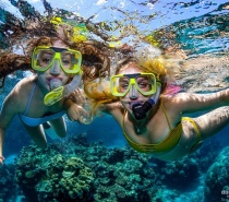 Snorkeling on the Reef near Cairns