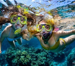 Snorkeling on the Reef near Cairns