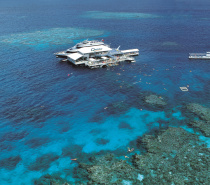 Quicksilver Reef Tour from Port Douglas