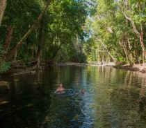 Emmagen Creek. Billy Tea Safaris is the only tour operator that goes to this secret Jewel in the Rainforest, and now it is time for a refreshing rainforest stream swim, in crystal clear fresh waters and without the crowds of people.