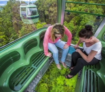 Be amazed by the spectacular tropical rainforest from the unique viewing perspective of Skyrail’s glass floor Diamond View Gondolas.
