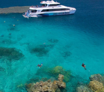 People Snorkelling on the a Reef Day Tour from Port Douglas 